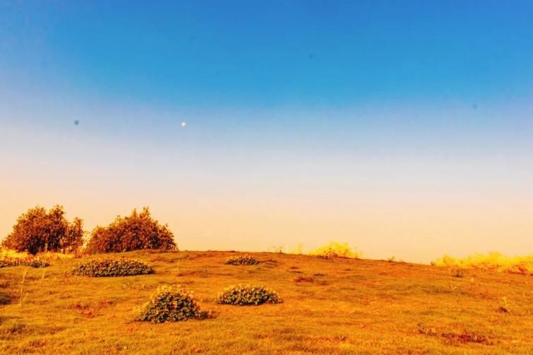 风“华”正茂，“理”想正好！这场双向奔赴，华东理工大学等你！