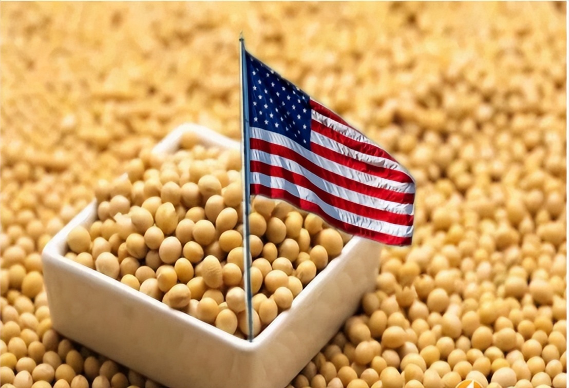 中国连抛1001亿美债后，开始大规模买进美大豆，外媒：或采购更多