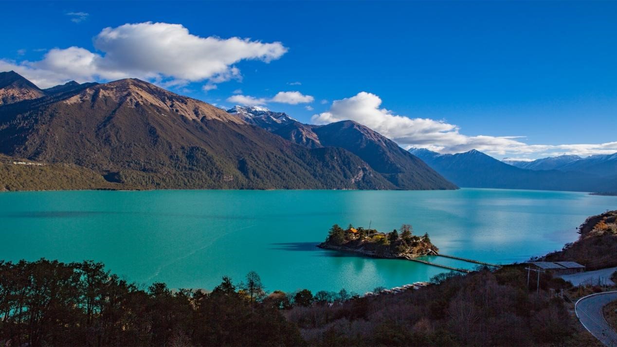 央视聚焦！这群东北学子研发“松茸月饼”等产品，上架就卖光，创收125万！