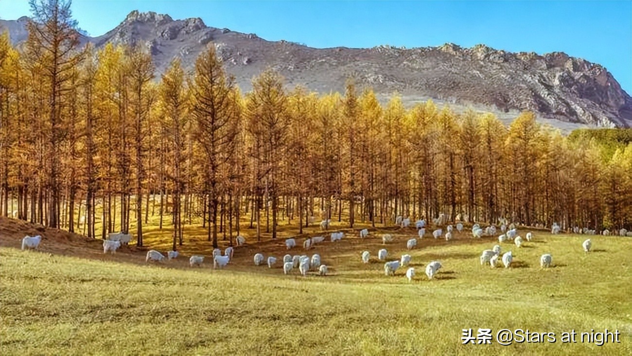 132930开头的(de)身份证是哪里的（132903开头的身份证是哪个城市的）-第7张图片-大连信(xin)息网