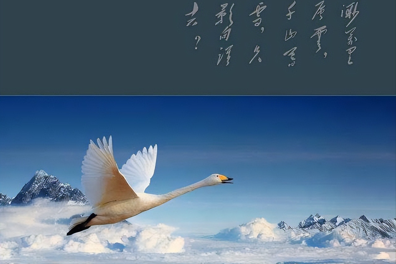 中国文学史上45首关于爱情的经典诗词，你最喜欢哪一首？