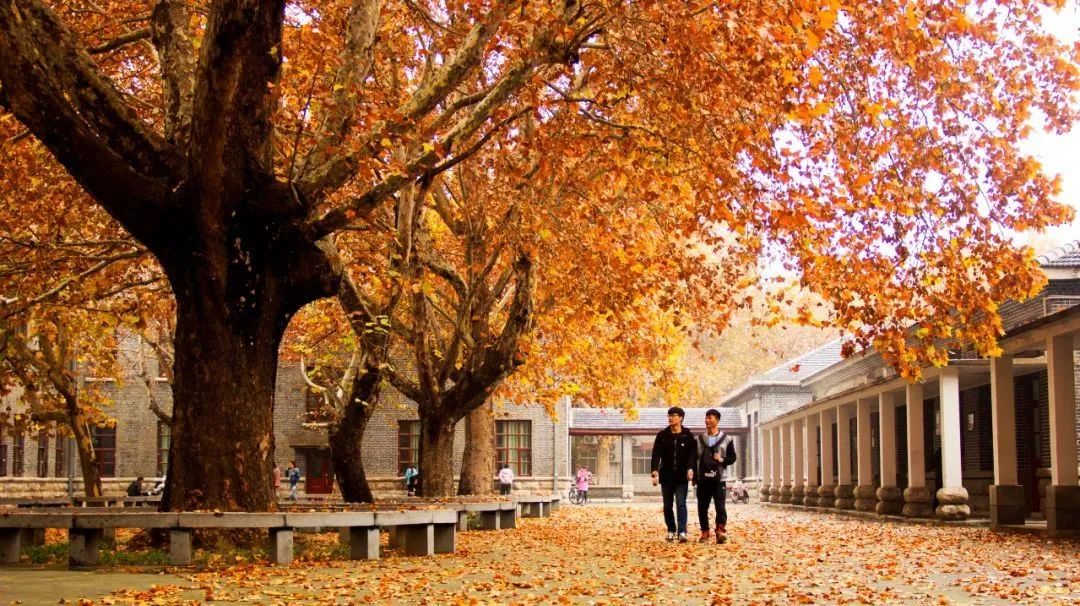 看到就报吧！这几所师范类大学的美术类专业实力强劲又好考