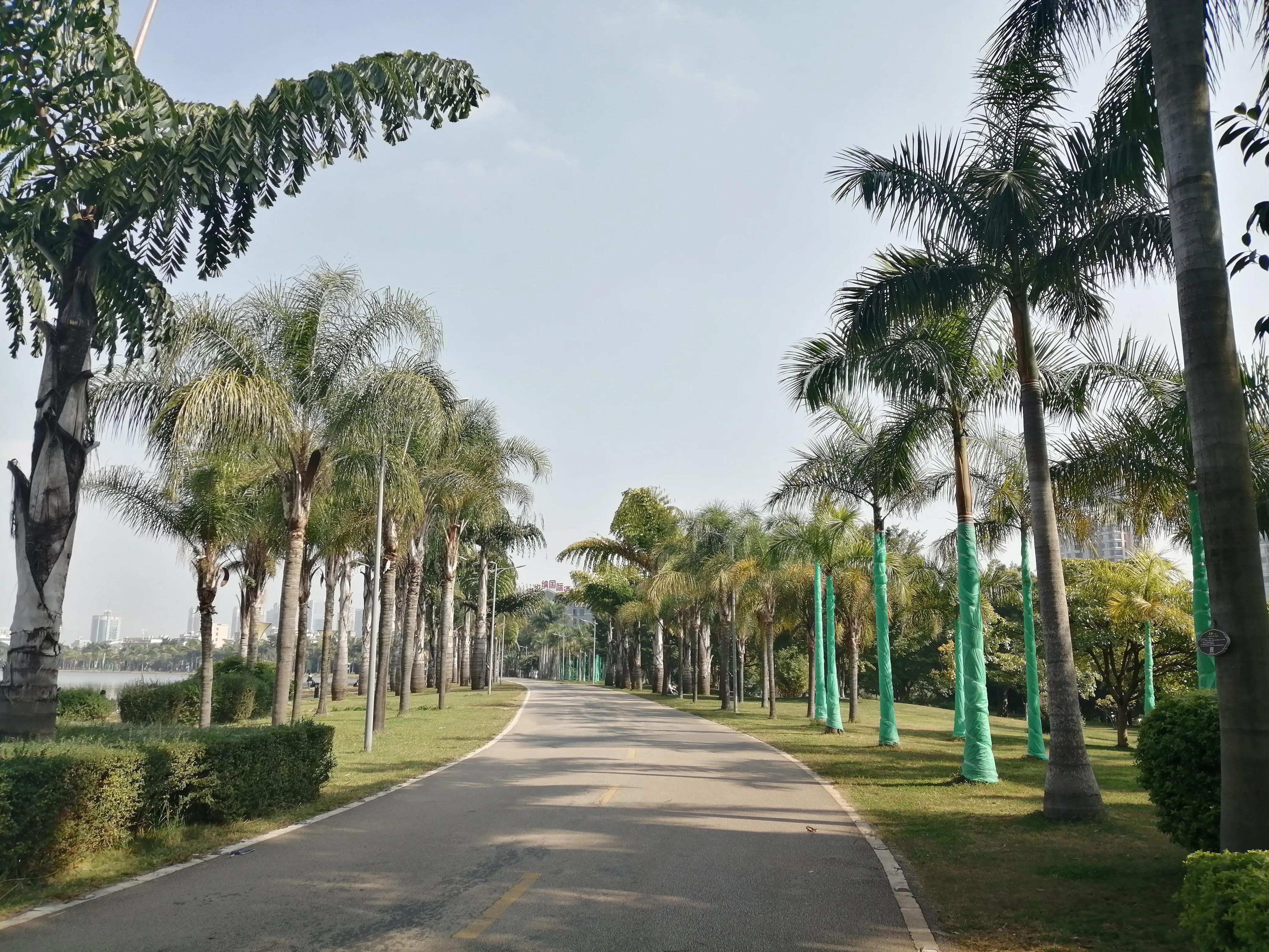 旅行中的感悟：我的人生虽平凡，却因脚步而精彩