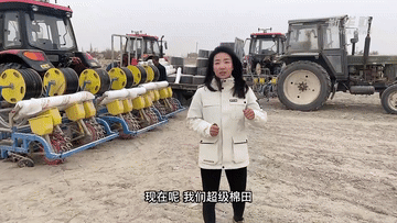 当985计算机教授开始去云南种菜