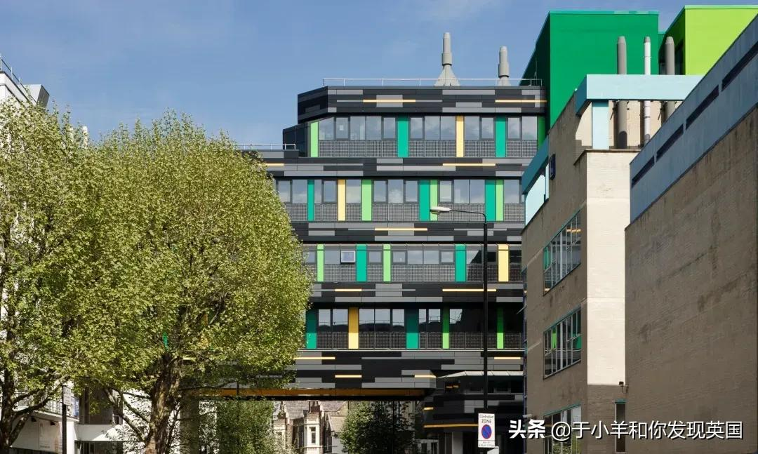 为什么那么多人想去伦敦玛丽女王大学？一所实力超强的高校