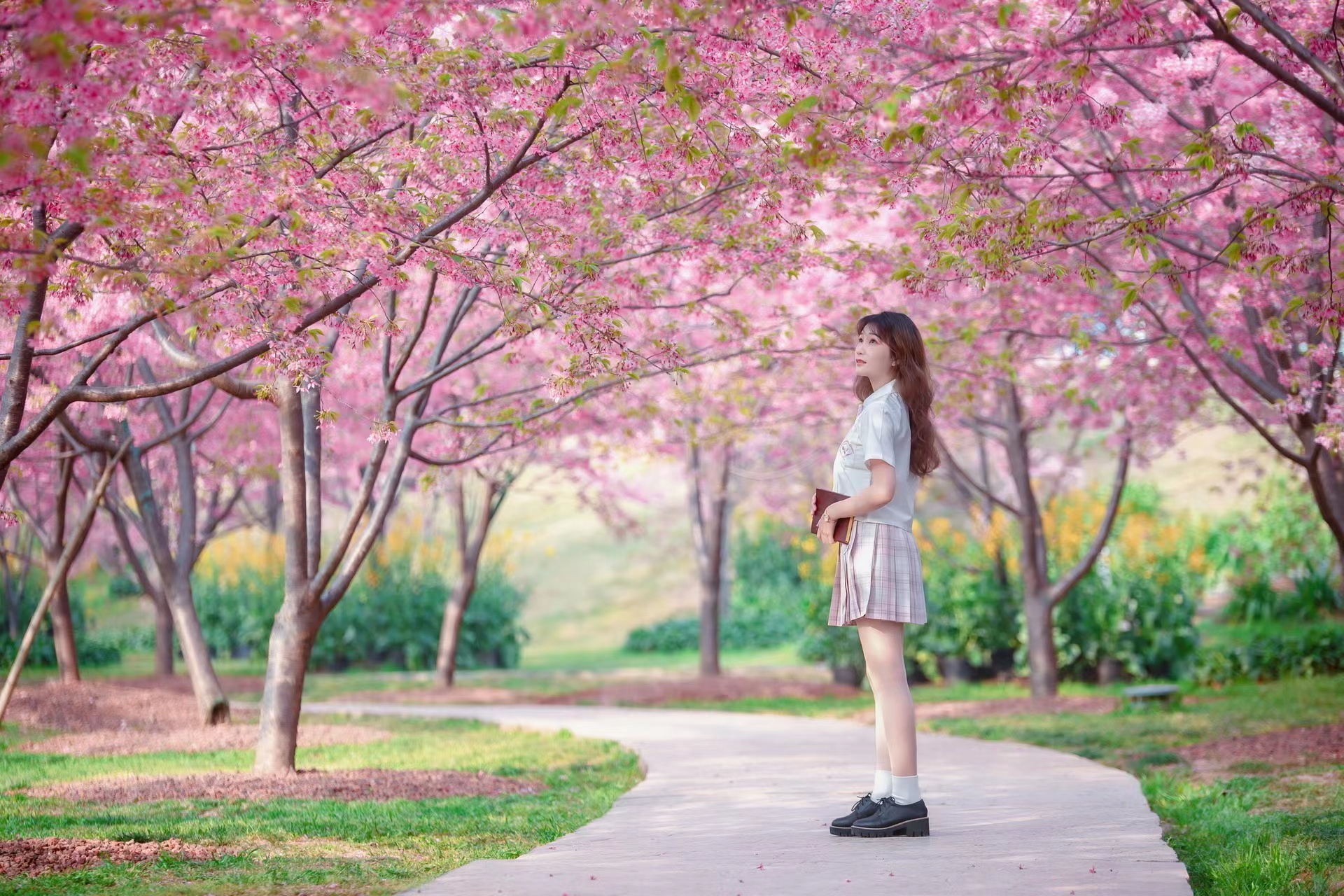 在樱花里拍照姿势图片