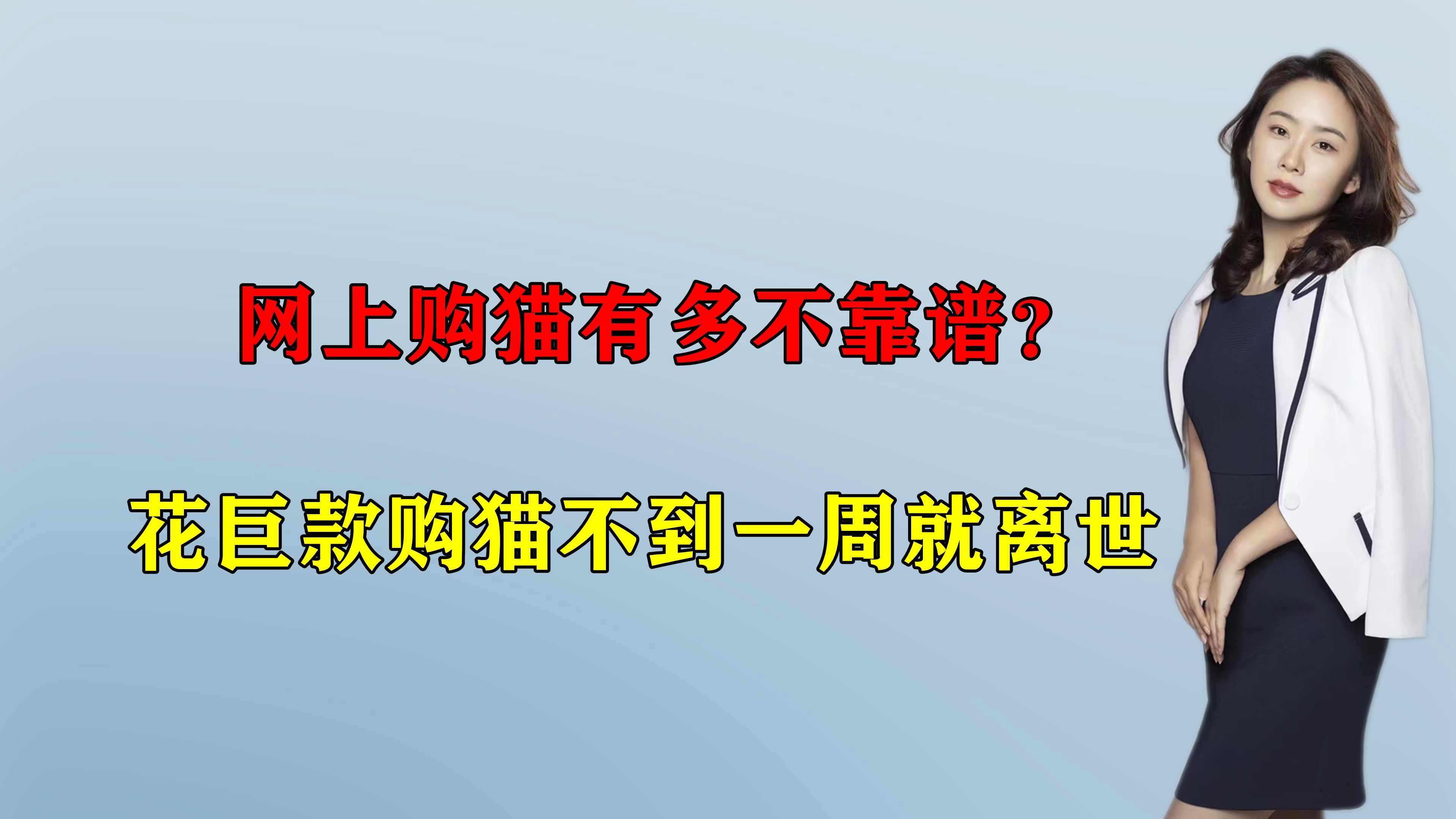 蓝眼猫多少钱一只(高价购买“星期猫”？网上购猫有多不靠谱，消费者该如何维权？)