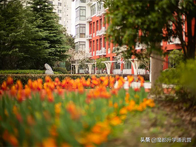 外地人在上海上学需要什么条件,外地人在上海上学需要什么条件2020