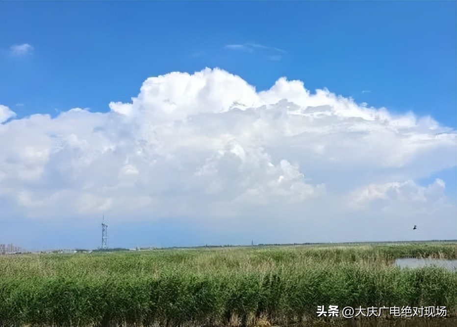 每年6月23日是国际什么日（每年6月23日为）-第5张图片-科灵网