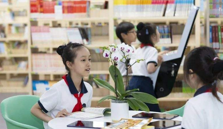 学校现实中帅哥的照片（年度最帅小学生走红）