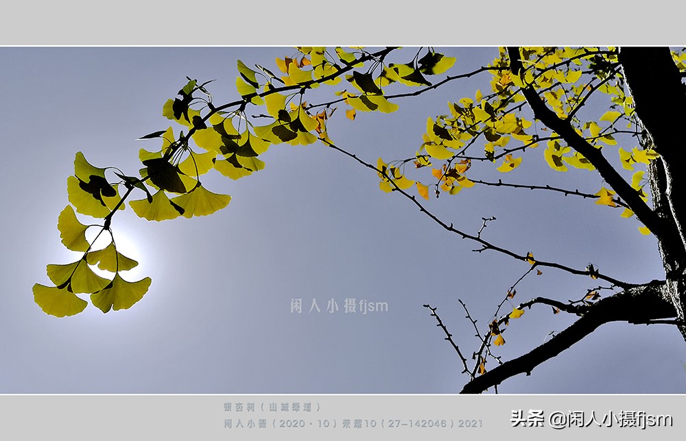 分辨率多少合适图片（修图分辨率多少合适）