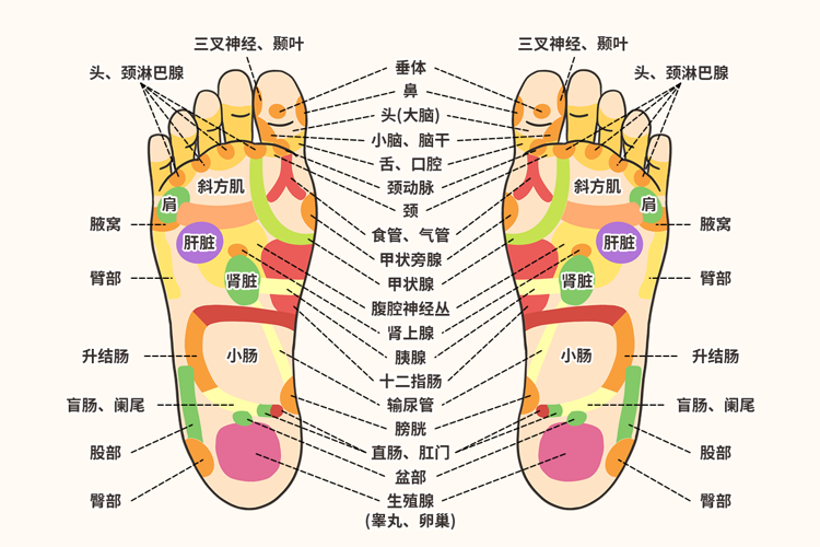 按摩脚底好处(脚是健康的晴雨表，医生忠告：脚部出现4种异样，或是大病前兆)