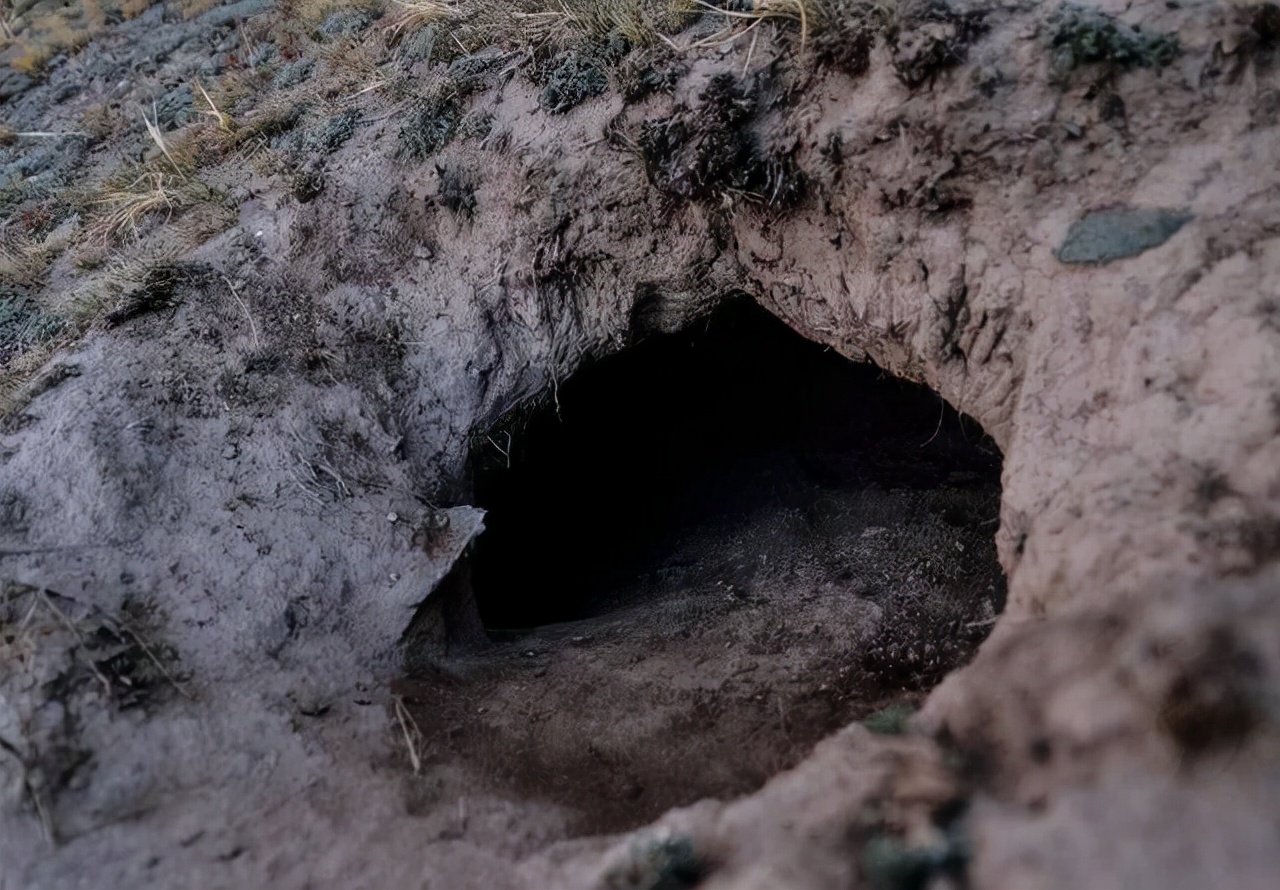 千年古墓走出活女尸(湖南挖出一座道教古墓，墓中出土神秘女子，尸体历经千年不腐)