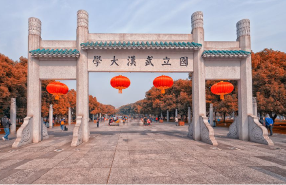 武大“鸡肋”专业停招，师生表示早该淘汰，高考生报考也更安心了