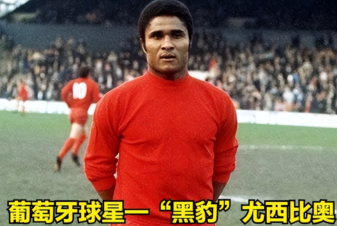 2010世界杯纪录（世界杯风云(9)442阵型问世 英格兰梦圆冠军 亚洲纪录至今未破）