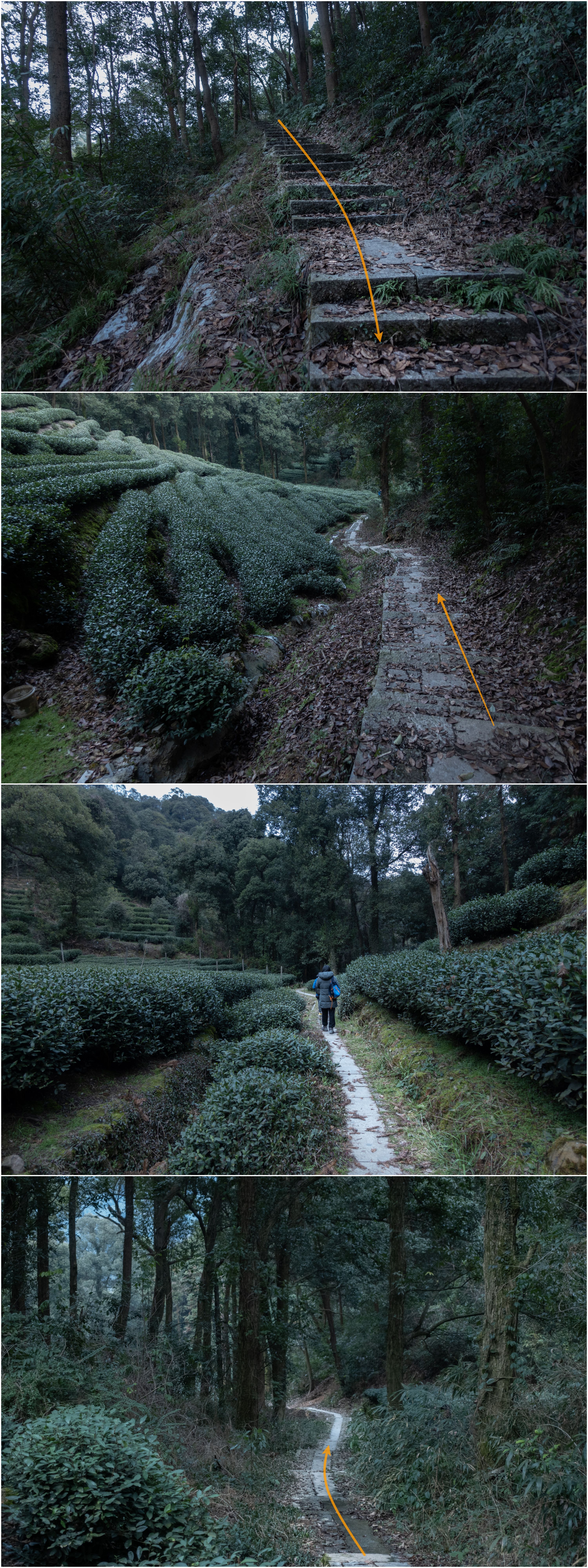 上山如森林，下山如仙境 | 杭州爬山徒步路线