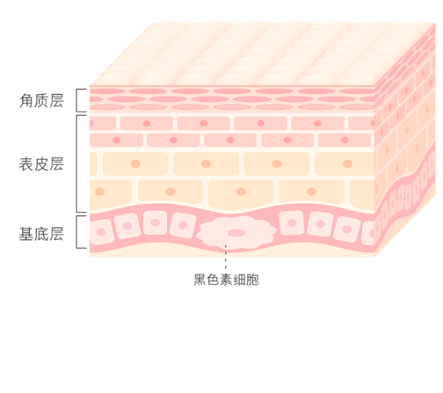 怎么樣能祛斑（別踩雷啦，真正有效的祛斑方法都在這了）