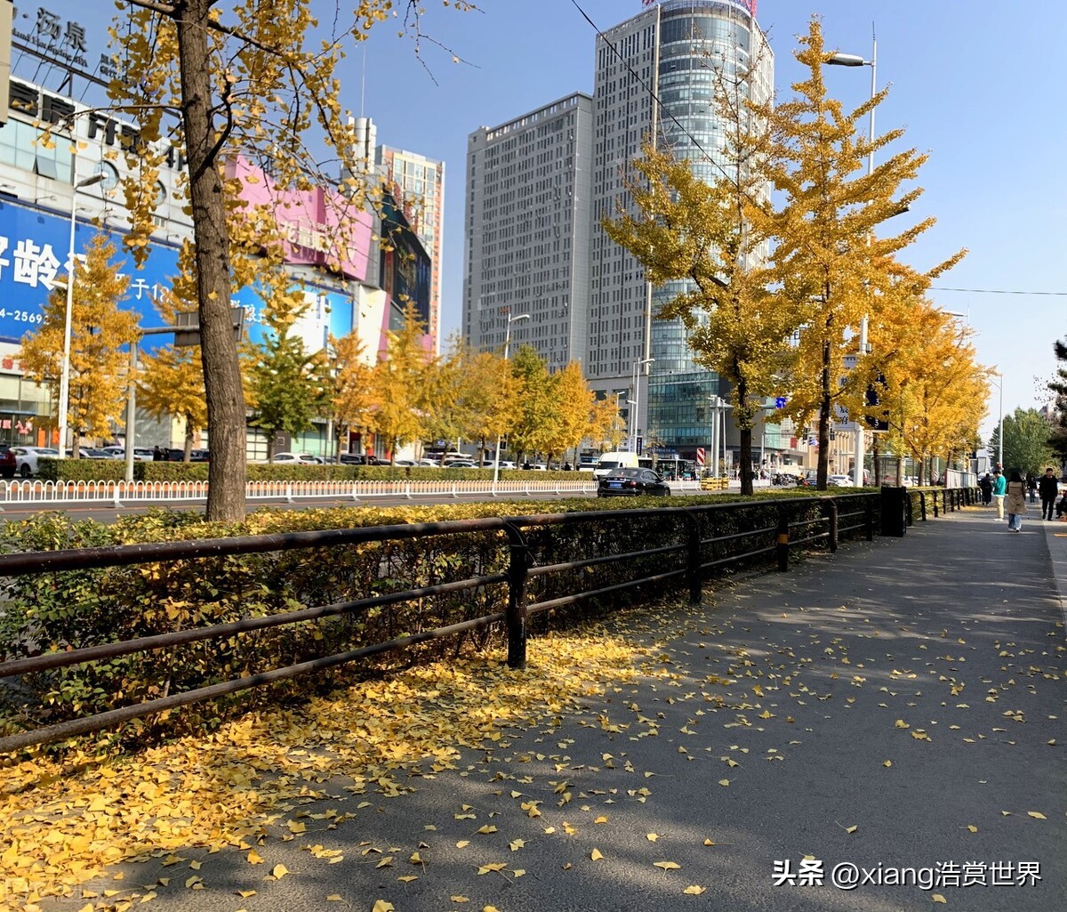 下列哪座城市获得过夏季和冬季(中国“秋天最短”的三个城市，只拥有50天左右，没有南方城市)