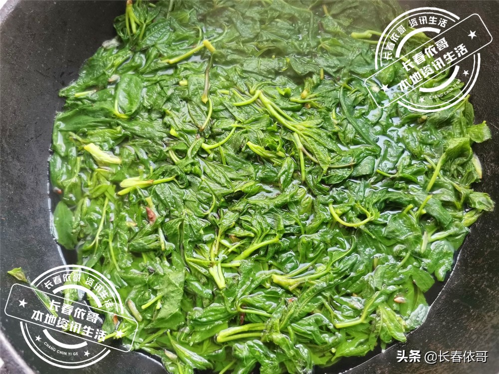 刺五加吃法大全（长白山珍品野菜刺五加科普）