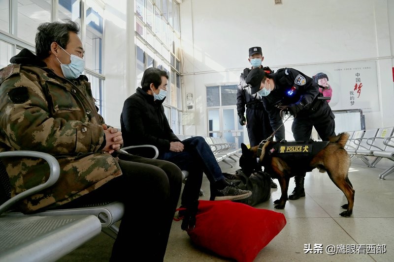 「摄影报道」甘肃平凉：特巡警车站巡逻护航春运
