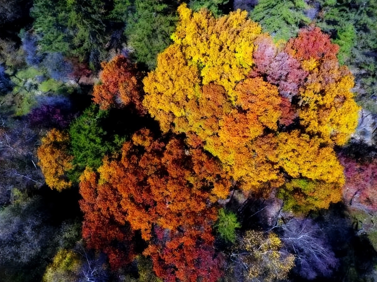 全国乡村旅游精品线路，山西六条线路入选！