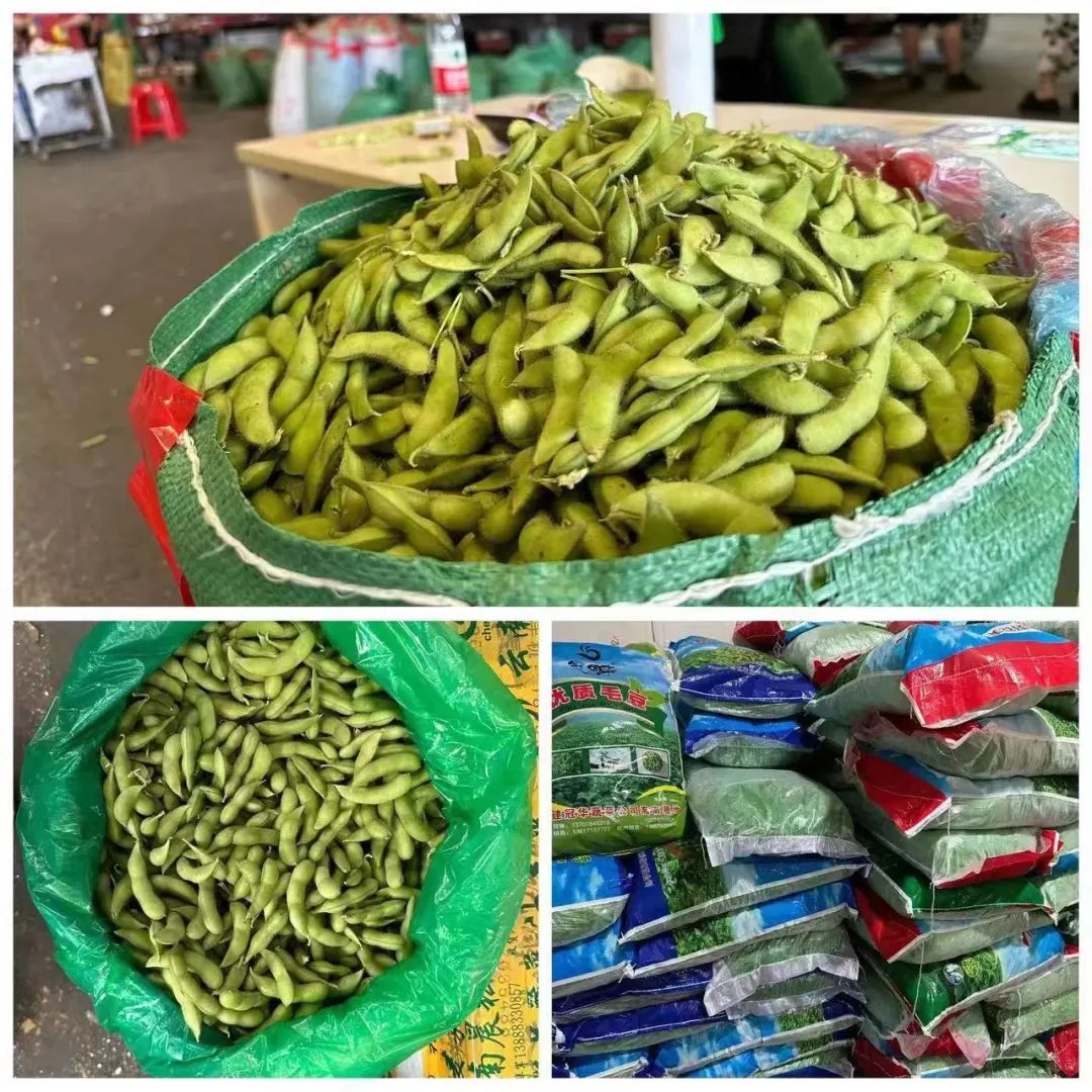 上海最大蔬菜市场今日蔬菜价格（寿光最大蔬菜市场地址）