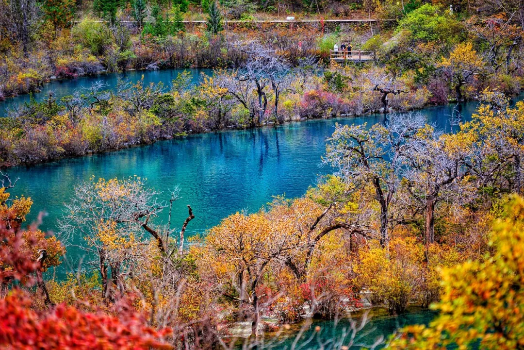 现成的旅行攻略和给力的景点半价(暑假旅行去哪玩)(图8) 抄作业了!现成的旅行攻略,给力的景点半价