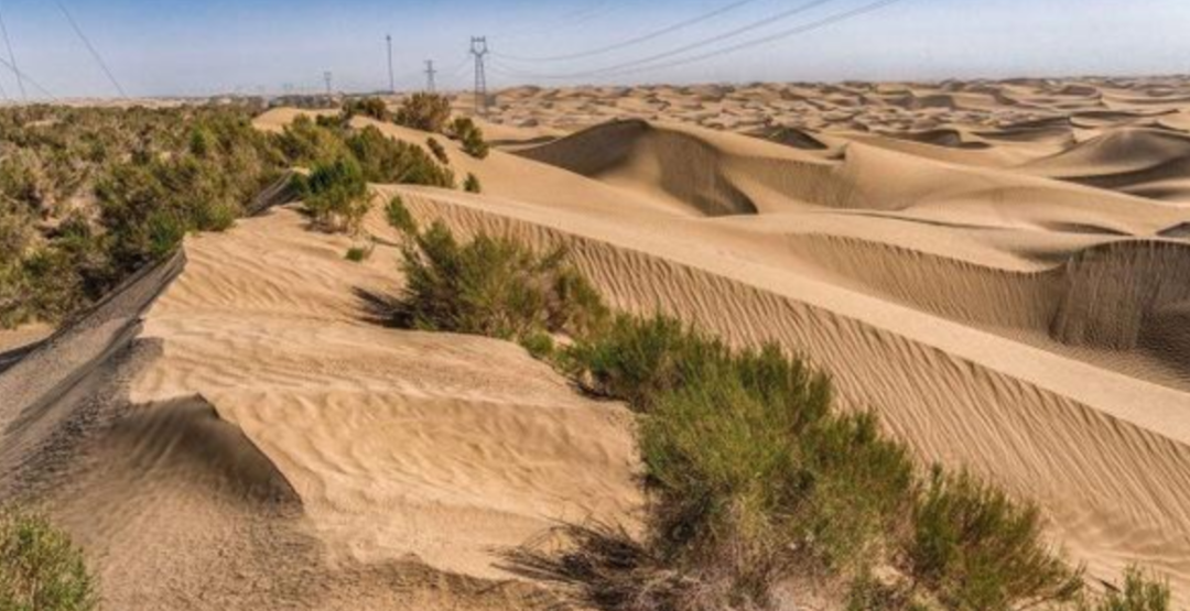 йɳĮɭֿ֣ȴ67%ȵĸԴҵˣ