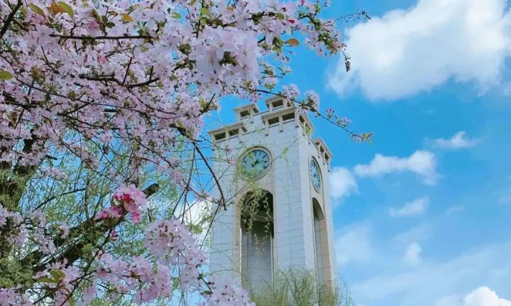 「23管综择校参考」财经类院校TOP10优势最全对比