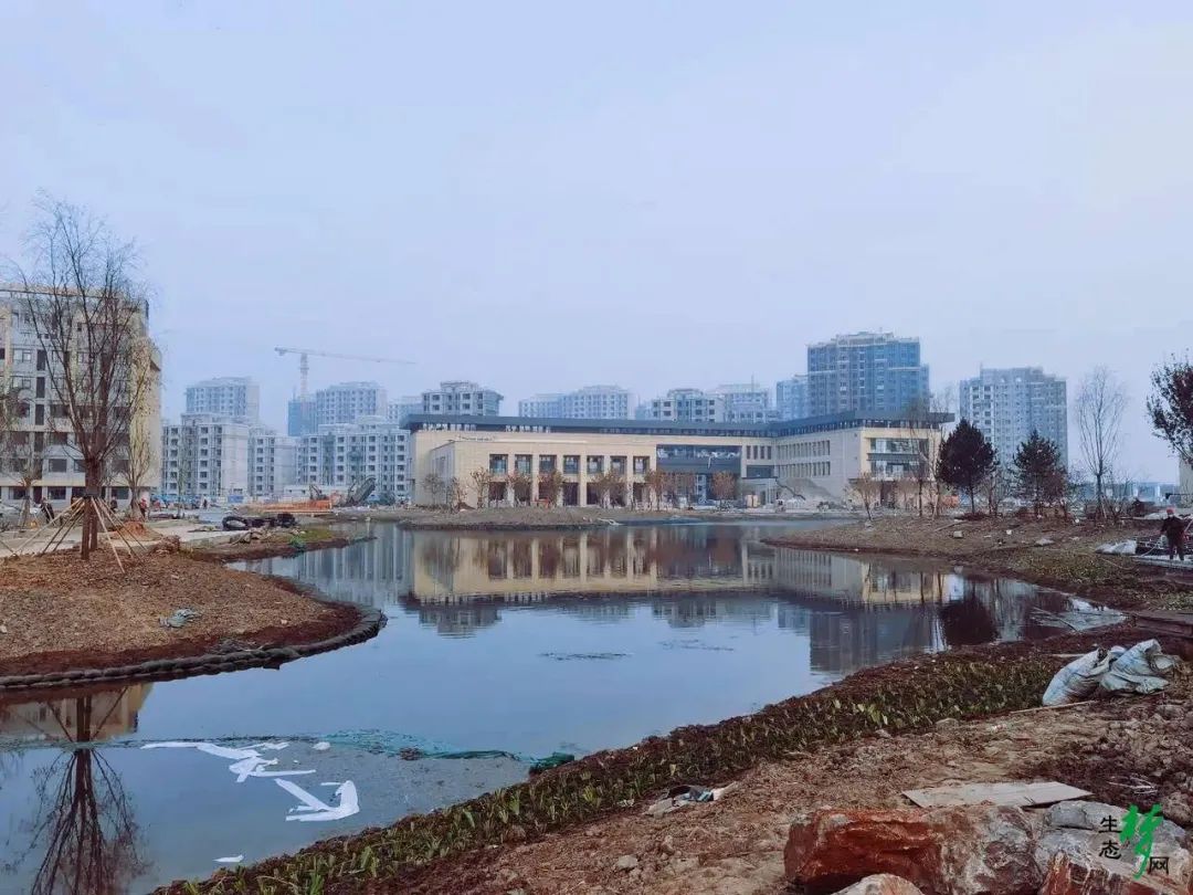 首次曝光！生态城中国核工业大学最新进展来啦