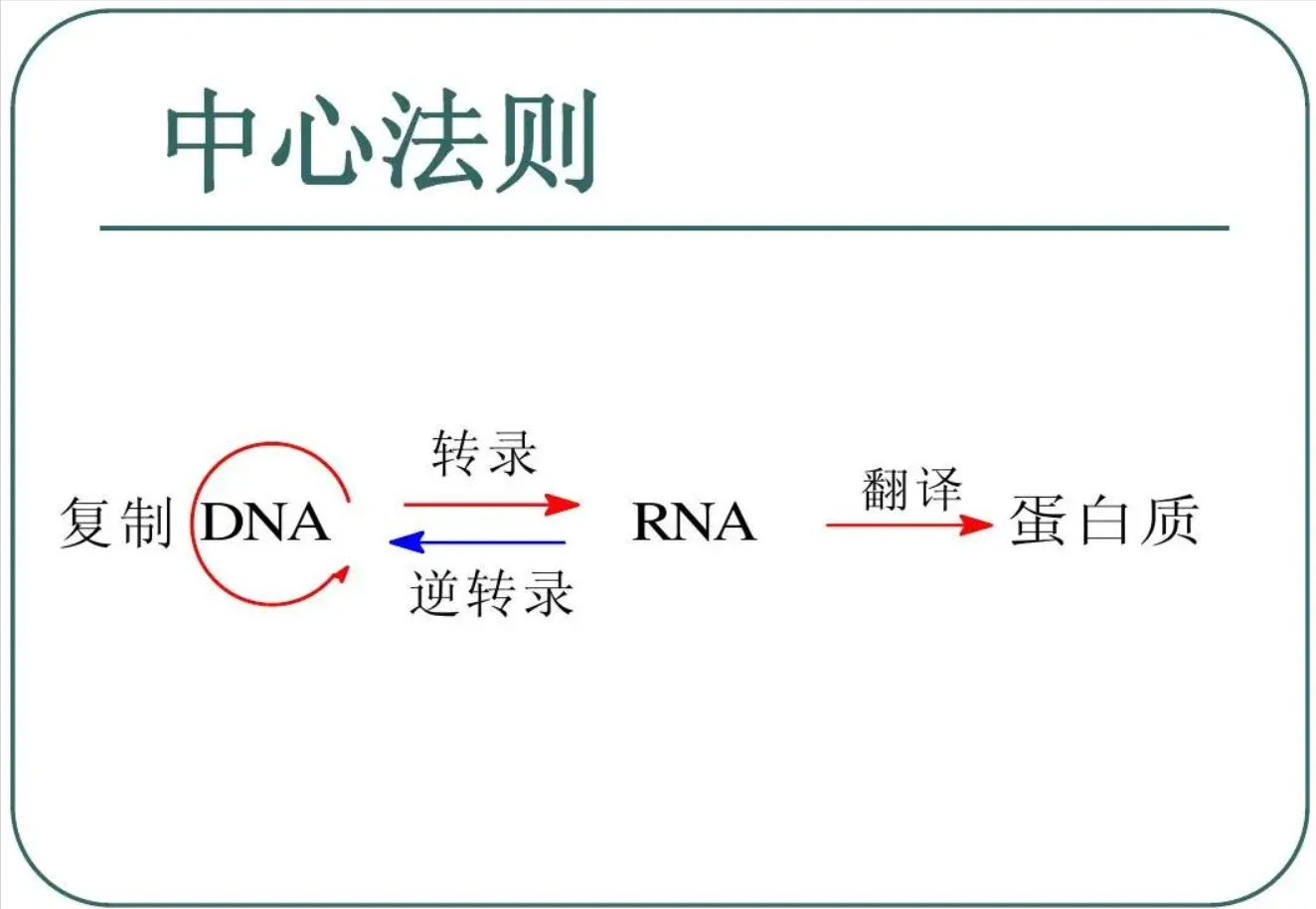 ���Ƕ������Ǻ����70������ʯ����DNA�ɷ֣���������������̫��