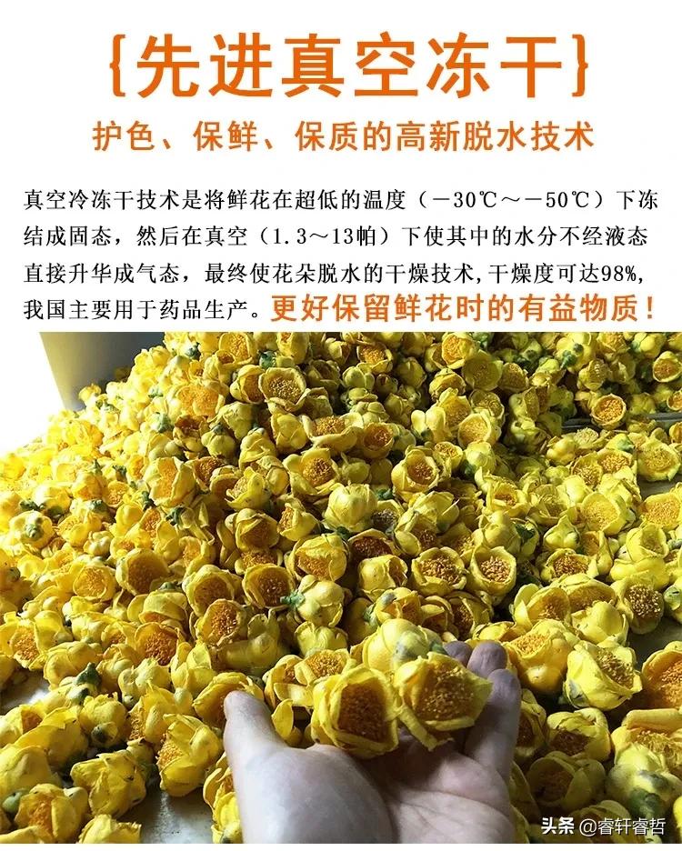 网红康仔农人的真实身份曝光，他家的金花茶园的价值令人惊讶