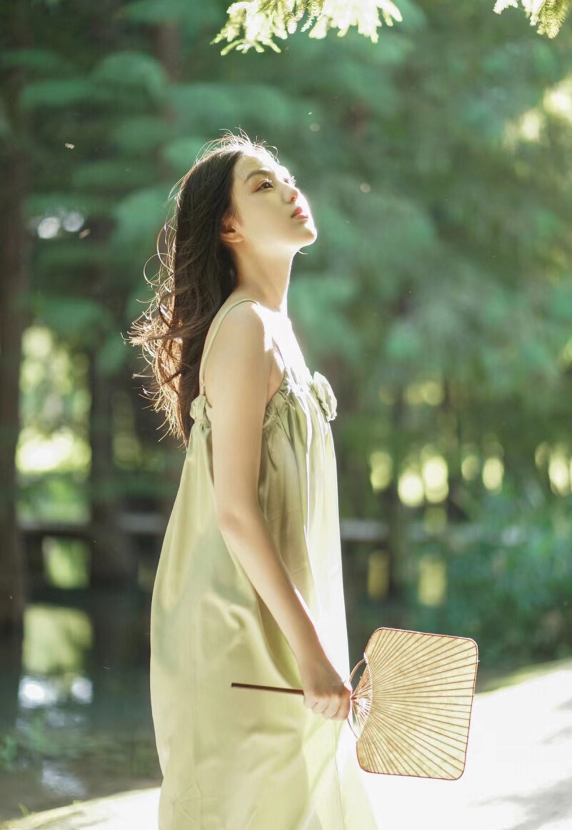 拍摄(拍摄指南乔桥在哪可以读) - 新科宏