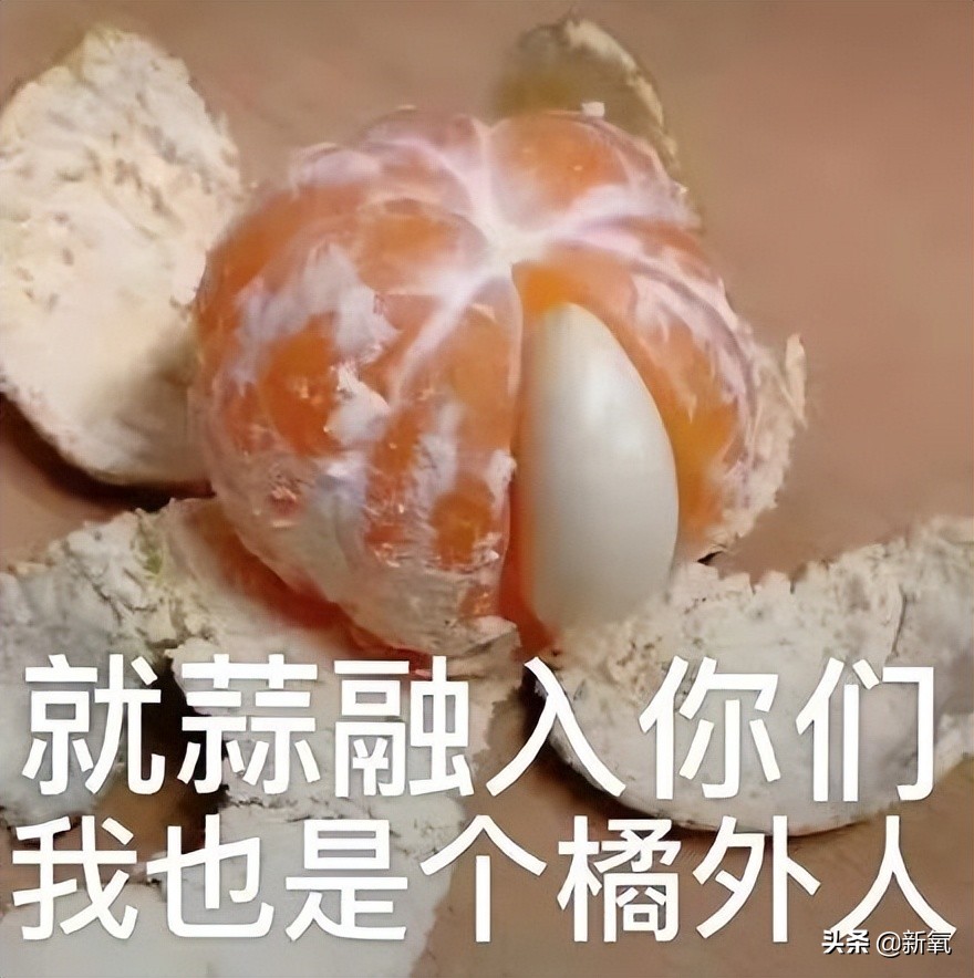 内娱最社恐的一群人凑在一起，反而让节目火了？