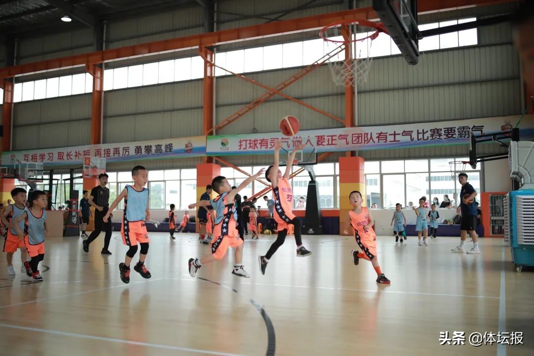 小篮球比赛视频(小篮球蕴含大能量，15000多名萌娃上阵“拼杀”)
