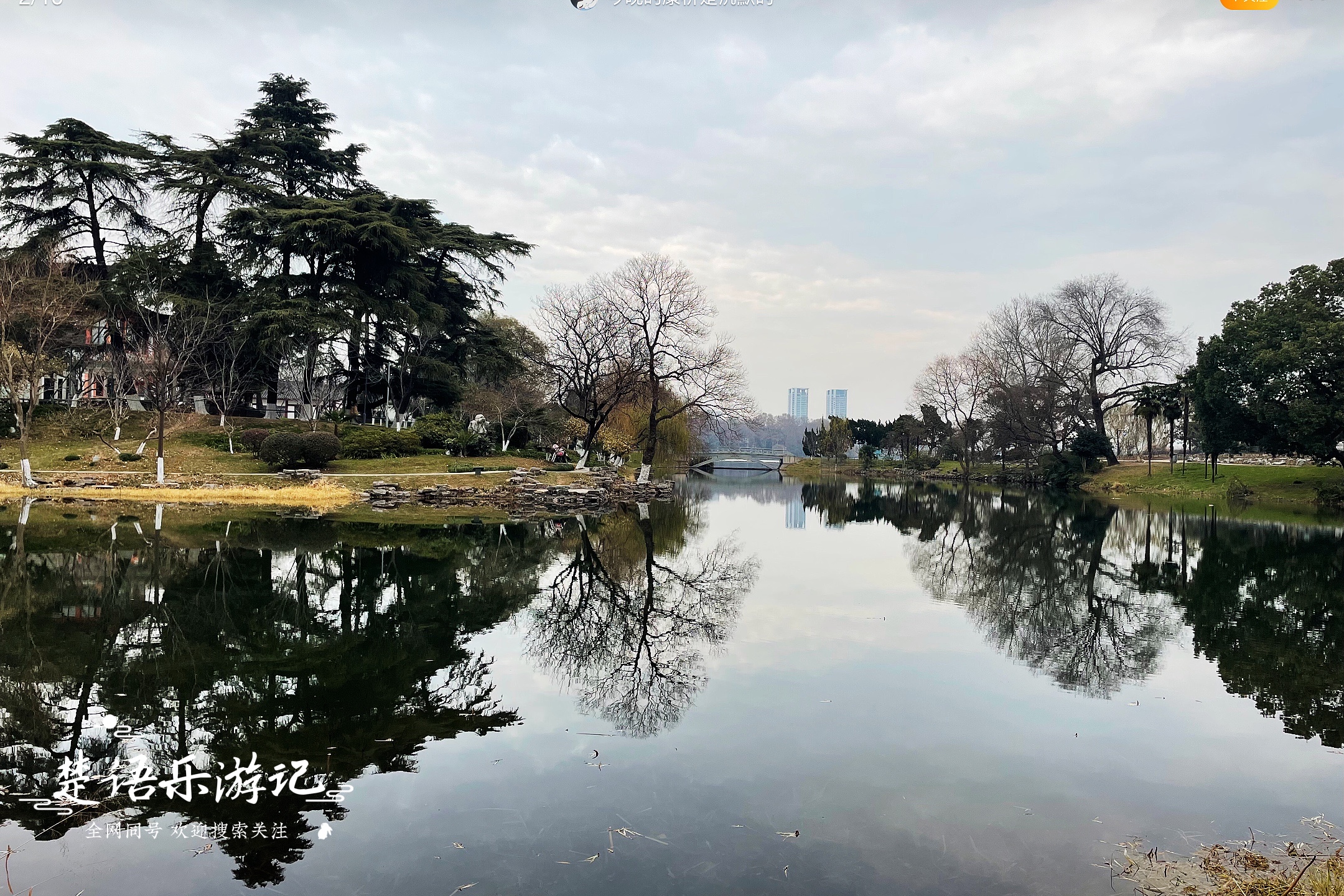 风景可比杭州西湖，一年四季花海不断，原来是南京的网红打卡胜地