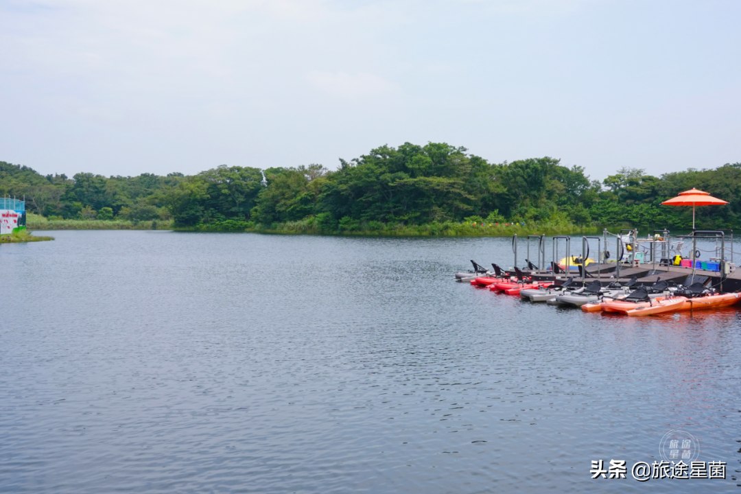 菲律宾韩国街在哪里(韩国 | 九月初的济州岛，时有风，偶有雨)