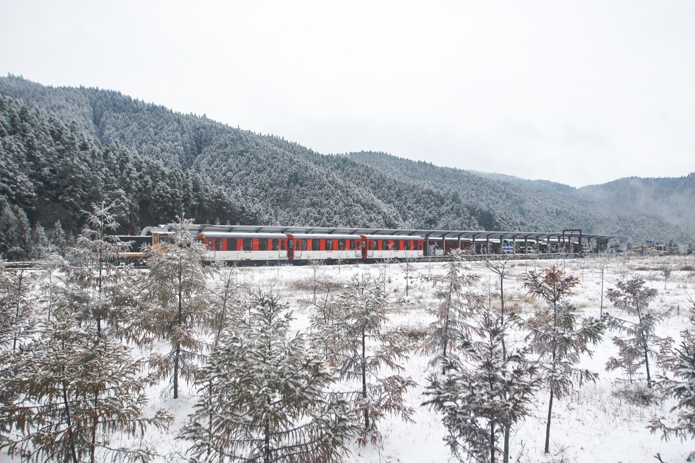 明月山滑雪套票包涵缆车吗(新年一家人玩雪就去江西明月山，滑雪泡汤还有雾凇奇景美如仙境)