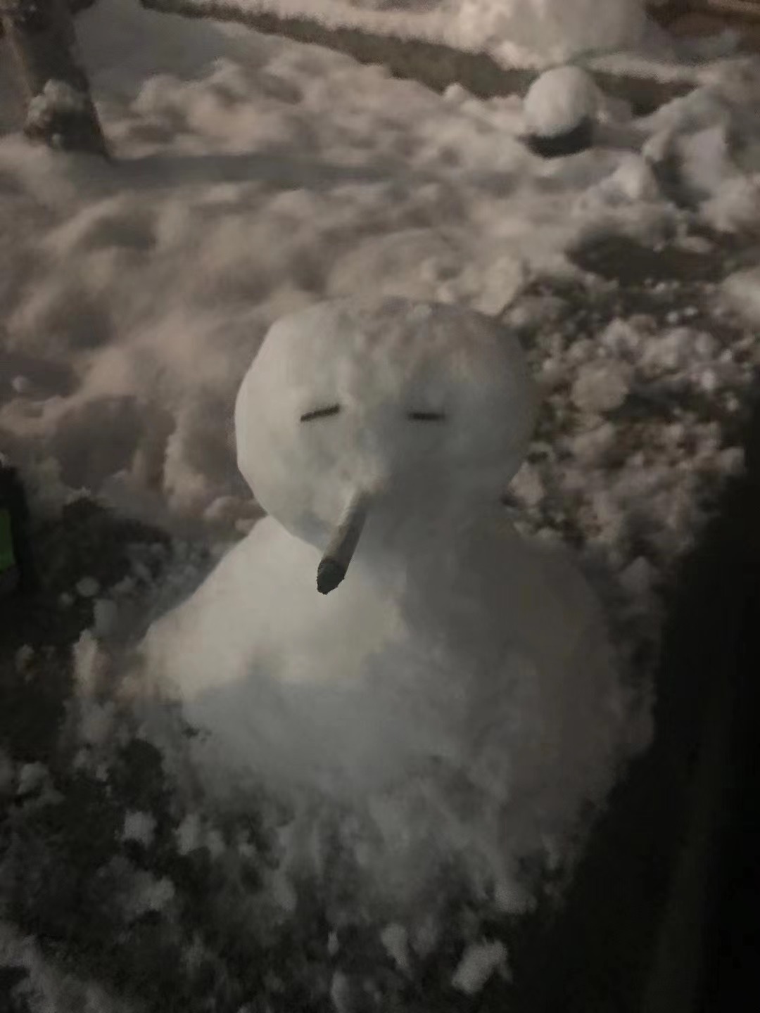 专属于春雪的浪漫，当三月的北京遇见飘雪，有种转瞬即逝的美