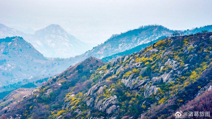 香山诗人作品欣赏——春