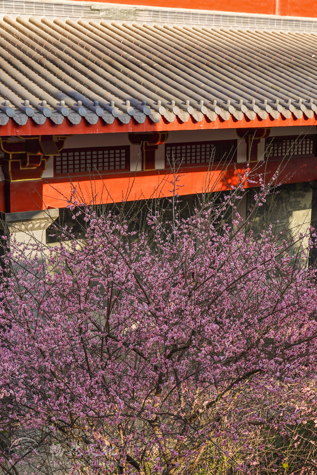 福州旗山万佛寺（福州旗山万佛寺图片）-第56张图片-科灵网