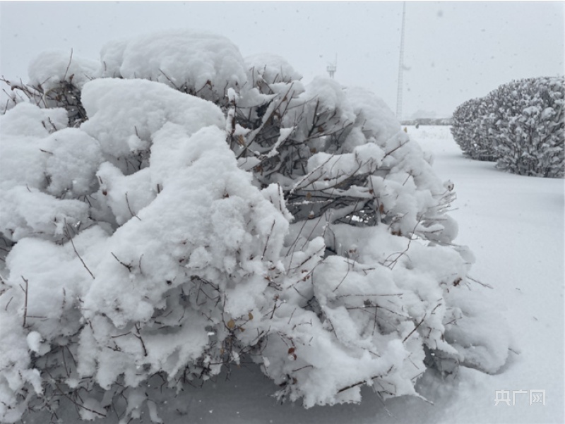 入春失败！内蒙古赤峰迎暴雪