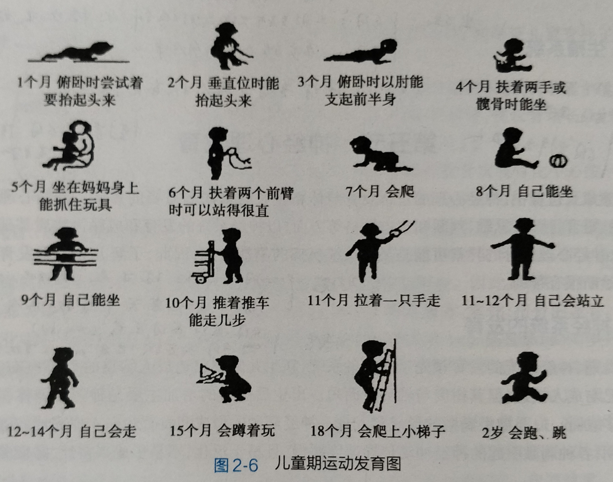 俗话说三翻六坐,3-6个月宝宝运动发育特点,附翻身独坐锻炼方法