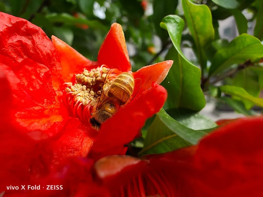 深度使用半个月后，vivo X Fold最受关注的这些问题可以回答了