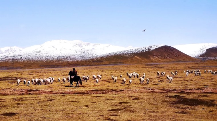 21个技巧，再助你手机拍大片！（影展点评第545期）