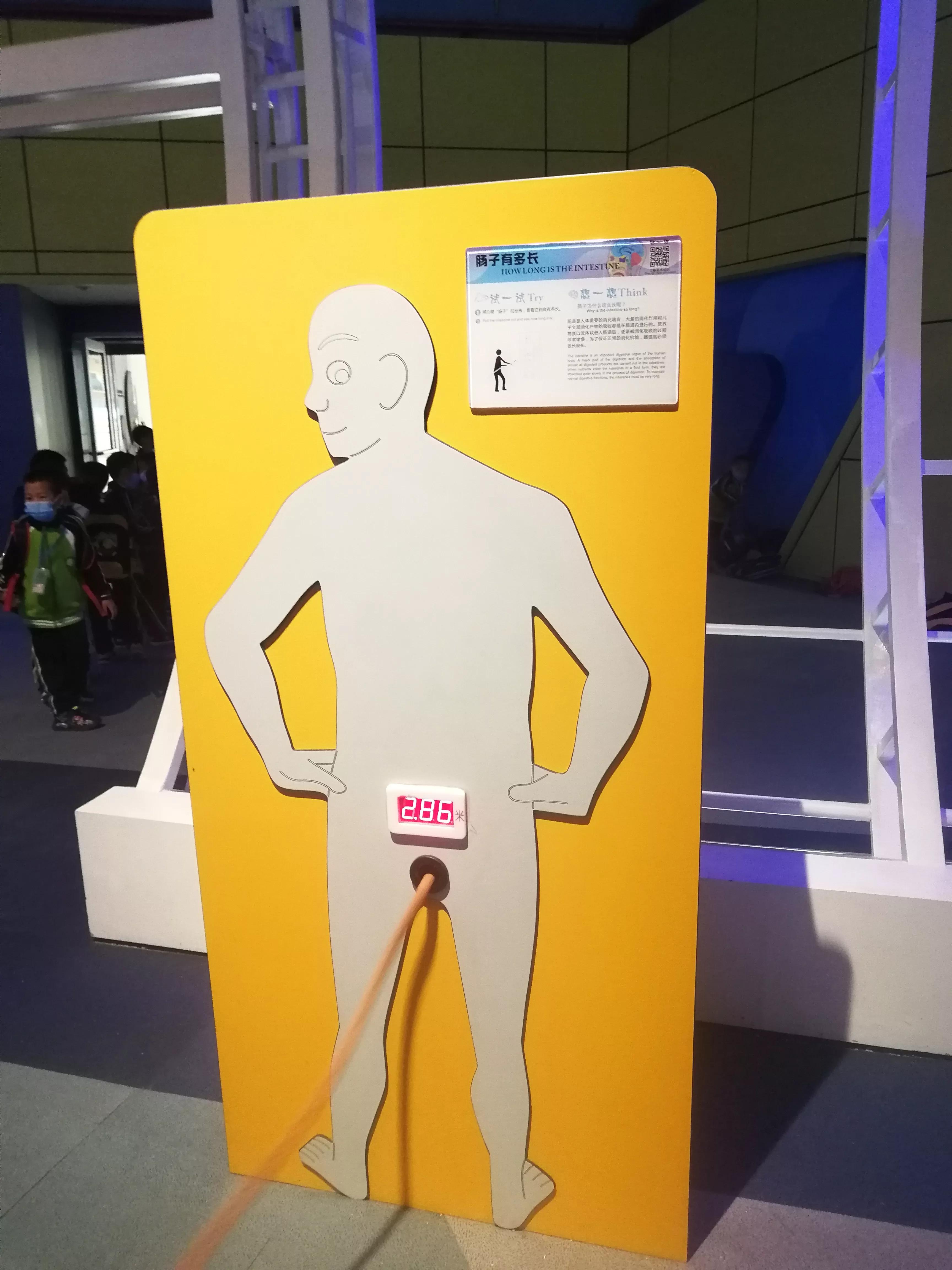 地铁4号线广州大学城一日游，带你体验不一样的大学城风景（A篇）