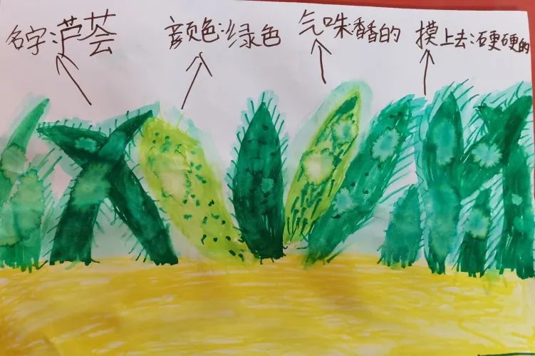 我爱我 从探索生命开始｜成都市双流区九江小学开展一系列活动