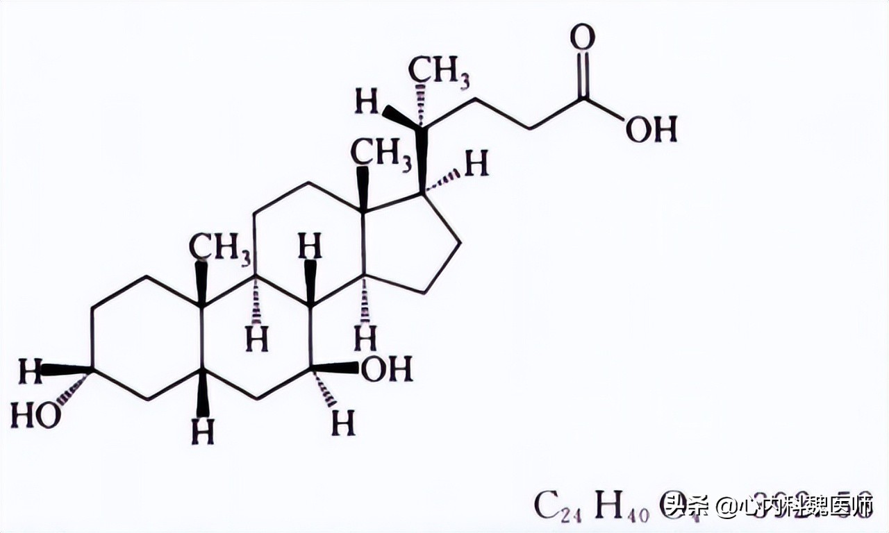 如皮肤,肝脏,肾脏等,是一种环戊烷多氢菲的衍生物,对我们人体来说