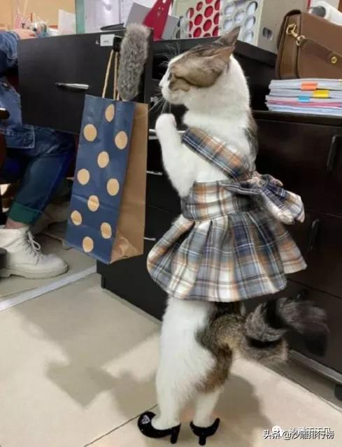 **姐妹们别慌！盘点那些让人哭笑不得的“直女”瞬间合集**