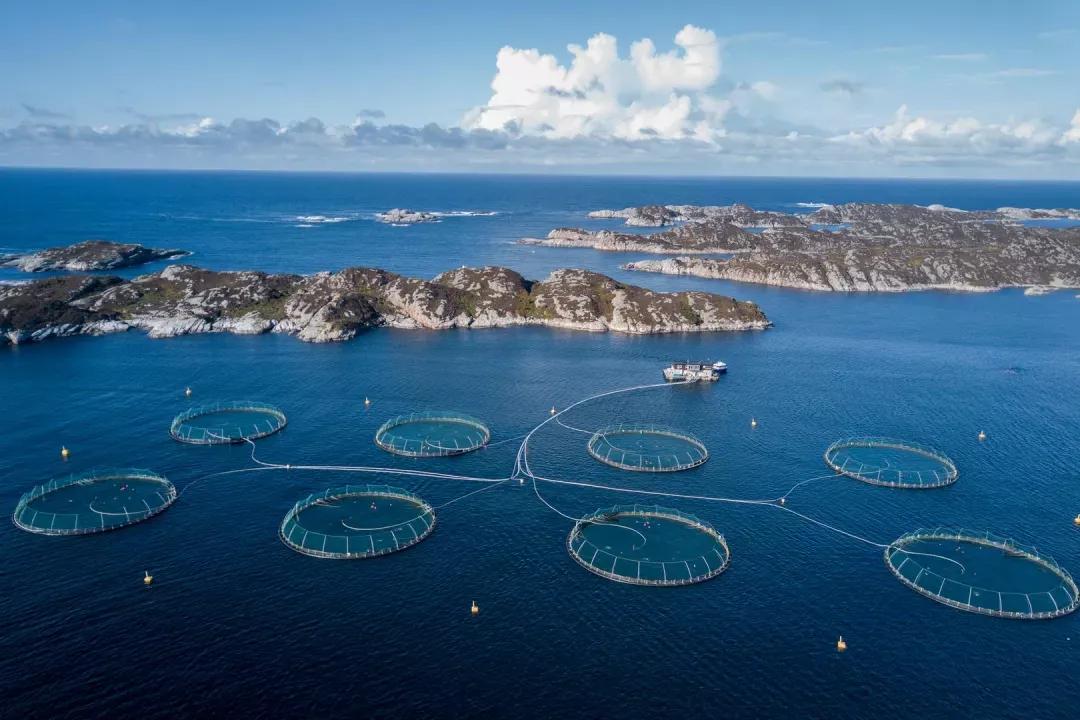 我们这五年—大区域访谈———专家谈区域海洋经济